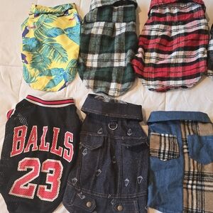 Amazon Dog Apparel Collection - Vibrant and Cozy